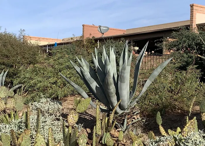 Garden With Mountain & Desert Views Holiday home *