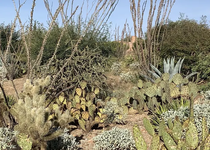 Garden With Mountain & Desert Views *