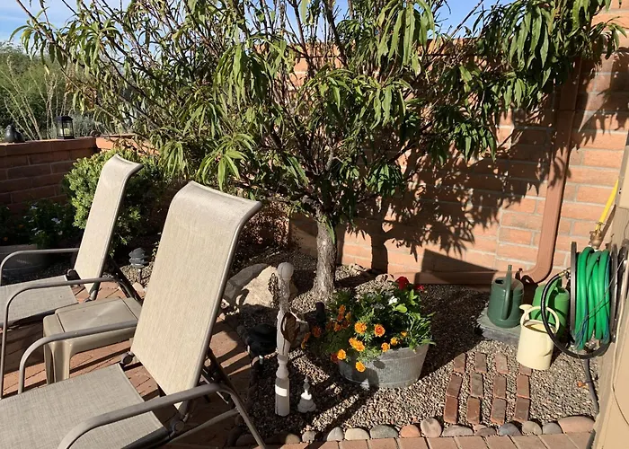Garden With Mountain & Desert Views Green Valley