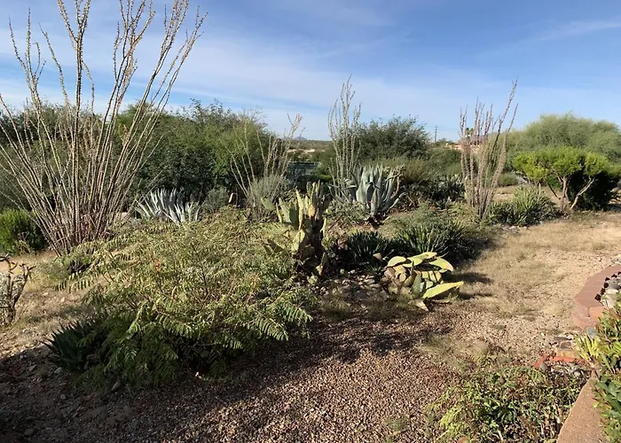 Garden With Mountain & Desert Views * Green Valley